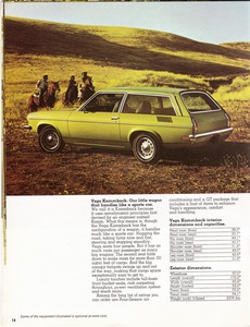 1973 Chevrolet Wagons (Cdn)-14.jpg